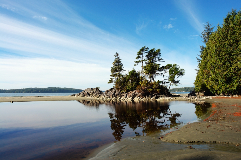 Construction Management Vancouver Island