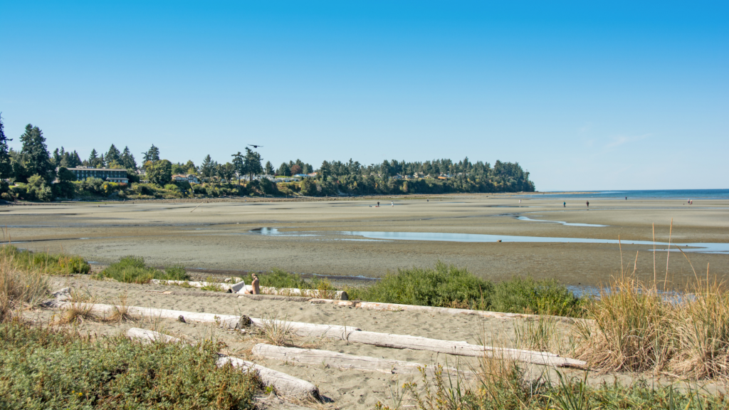 Parksville, BC Home Builders, Commercial Construction Company